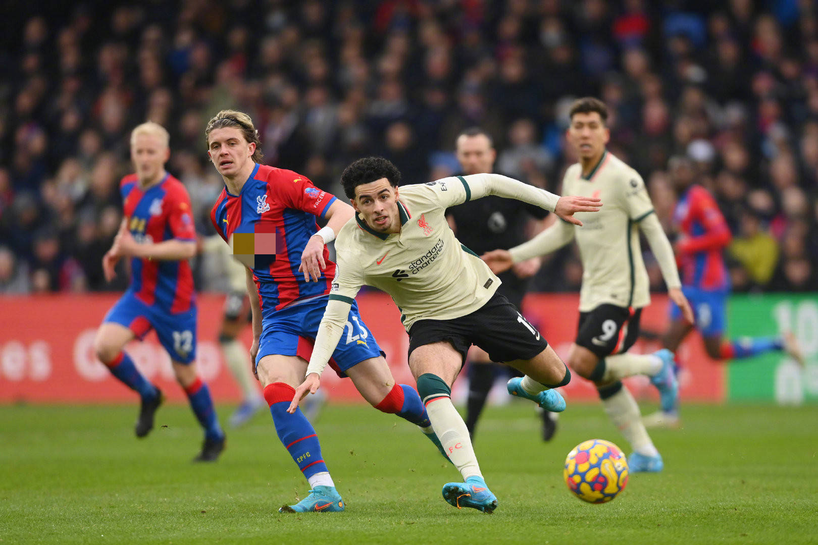 人注目的年 人注目的年